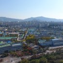 와이즈바이오 이미지