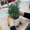 화순군치매안심센터 이미지