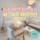 제주몽펜션 | 제주 애견동반 숙소, 제주독채펜션 애월 허그제주 펜션 숙박 후기 ♥ 제주 애월펜션 제주숙소추천