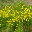 이현동2 이미지