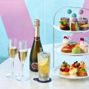 비비드 힐 이미지