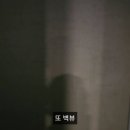 511 더치커피