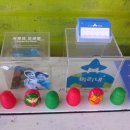 미리내팬션 이미지