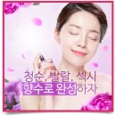 우디여성의원 이미지