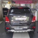 토르모터스 이미지