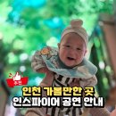 e훼미리24시편의점 | 인천 인스파이어 오로라 고래쇼 주차비, 아이와 가볼만한곳 추천