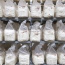 에스농장 이미지