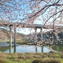 회야강변 이미지