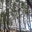 갈산목장 이미지