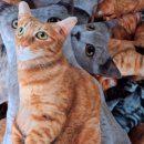 유창무역 이미지