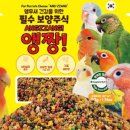 주식회사 리프패럿 이미지