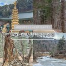 진부(오대산)관광농원 | 평창 오대산 월정사 전나무숲길 강원도 겨울 여행지 추천
