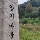 수입2교 이미지