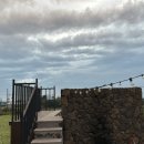 금악가반 이미지