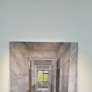 그늘과 빛의 기억 이미지