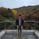 짐브로 | 짐브로(GBRO) 헤비레더 숏패딩 후기 리뷰 착용샷 사이즈