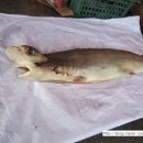 자인수산 이미지