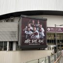 모이니네일 | [야구가 있는 삶] 2026년 기아타이거즈 경기 후기 (feat.5연승+고척돔)