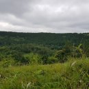 종철목장 이미지