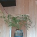 해피드림펜션 이미지