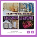 겨울 감성 가득한 강원도 평창 뇌운계곡 글램핑장 후기