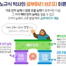 머리박사 이미지