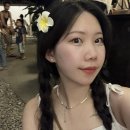 (주)몬스터넷 | DAY-4, Bohol [발리카삭투어 바다거북이랑 수영하기]
