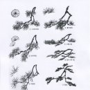 수묵화(기초) 이미지