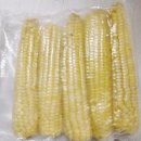 금성상회 이미지