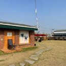 애견세상 이미지