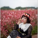 대장농원 이미지