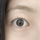 장기동 | 김포 장기동 속눈썹펌 노아뷰티 솔직 후기
