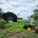 제주공감공인중개사사무소 이미지