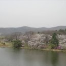 호암미술관 이미지