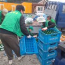 뽑기동산 이미지