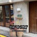 [신사 파니엔테] 낮에는 카페, 밤에는 와인바 방문 후기(내돈내산)