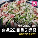 솔밭오리마을 - 김해시 여래로20번길 7 | 창원 가음동 오리고기 솔밭오리마을 오리간장불고기 후기
