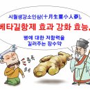 이른 아침의 생강 세편이 인삼보다 낫다 이미지