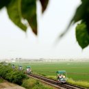 (주)아산레일바이크 이미지