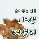 강원도산림박물관 이미지