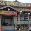 약산궁 능이버섯 이미지