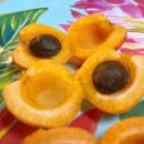 애프리코트(APRICOT) 이미지