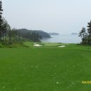 파인우드비치 이미지