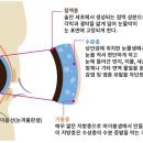 이층약국 이미지