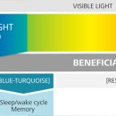 이기대안경 이미지