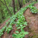 청정농장2 이미지