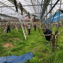 강수농장 이미지