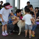 하나사랑동물병원 이미지