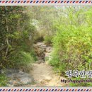 중리동 가구특화거리 티스토리