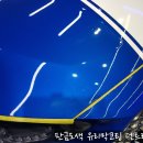 (주)덴트리 네이버블로그